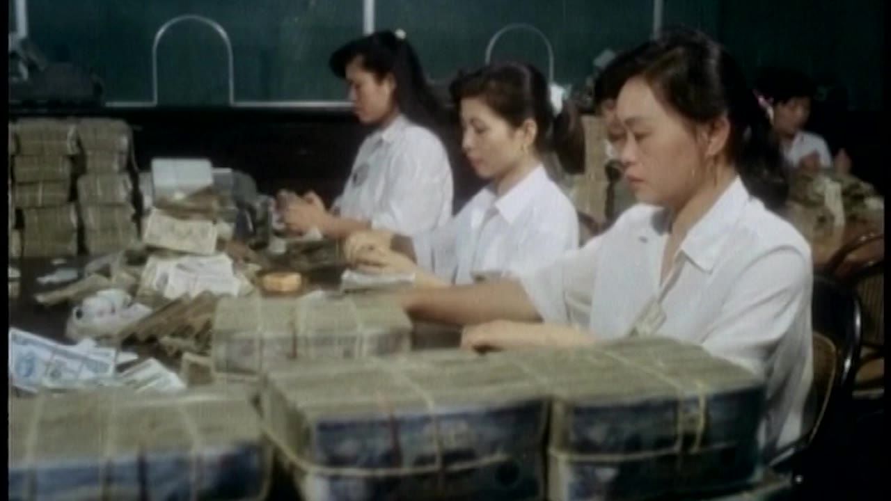 Các giao dịch viên đếm tiền tại quầy